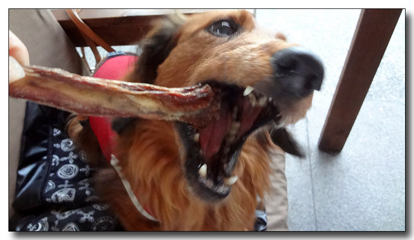 20130624140638.JPG