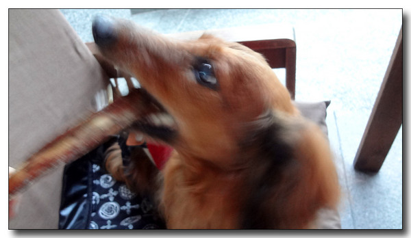 20130624140639.JPG