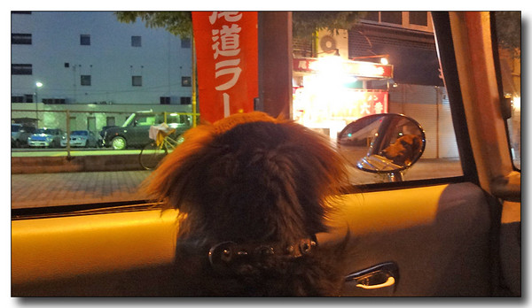 20130624141130.JPG