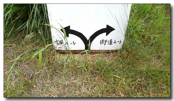 20130626075747.JPG