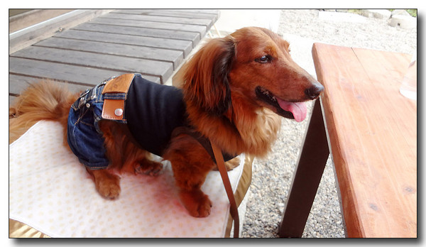 20130626075825.JPG