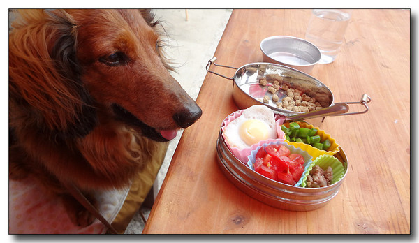 20130626080515.JPG