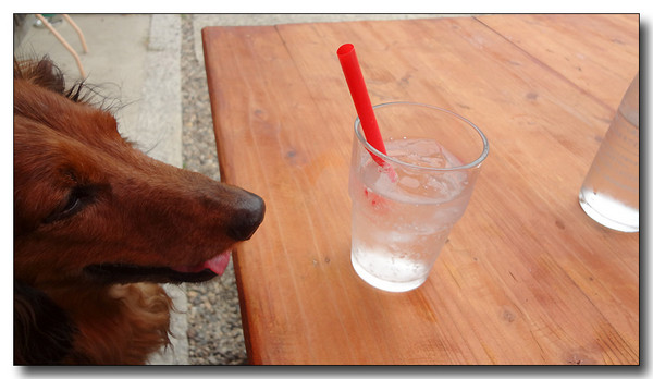 20130626080540.JPG