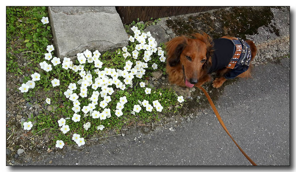 20130626080559.JPG