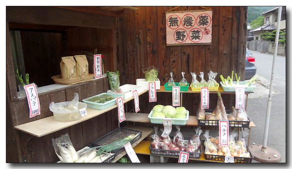 20130626091701.JPG
