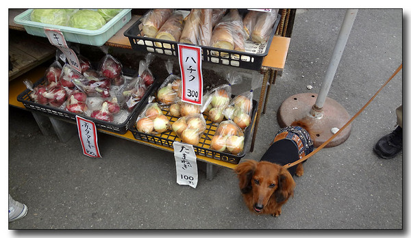 20130626091702.JPG