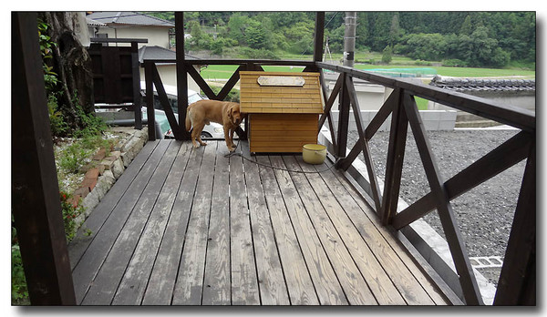20130626201053.JPG