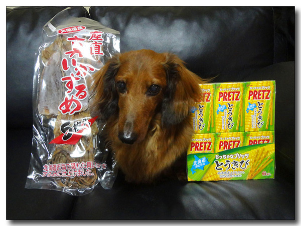 20130627204920.JPG