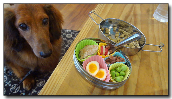 20130628102812.JPG