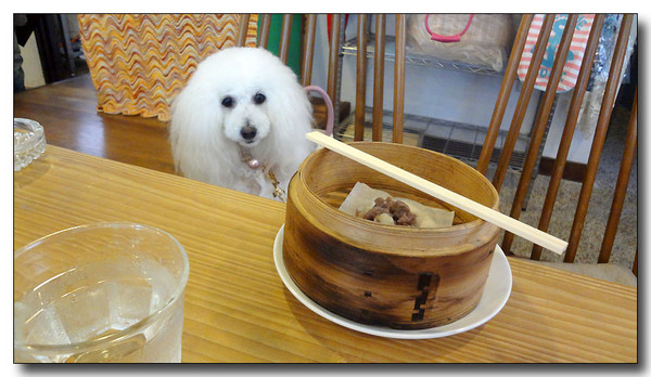 20130628102814.JPG