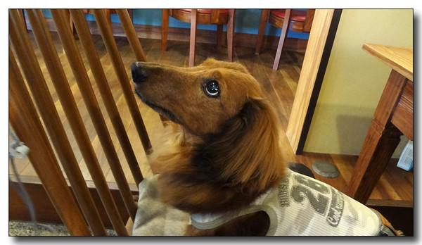 20130628102851.JPG