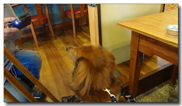 20130628102929.JPG