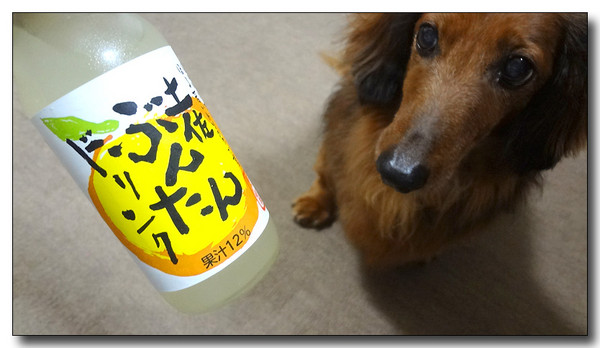 20130628115506.JPG