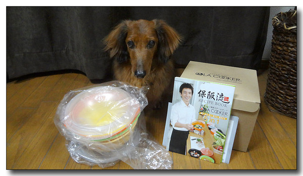 20130628115508.JPG