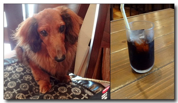 20130628140049.JPG