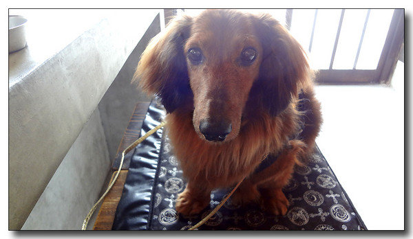 20130630085325.JPG