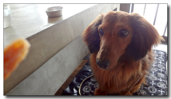 20130630085328.JPG