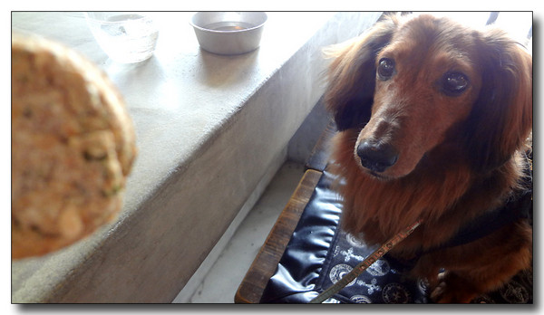 20130630085329.JPG