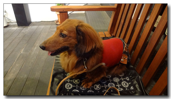 20130630115915.JPG