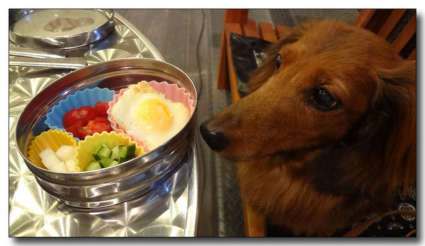 20130630115918.JPG