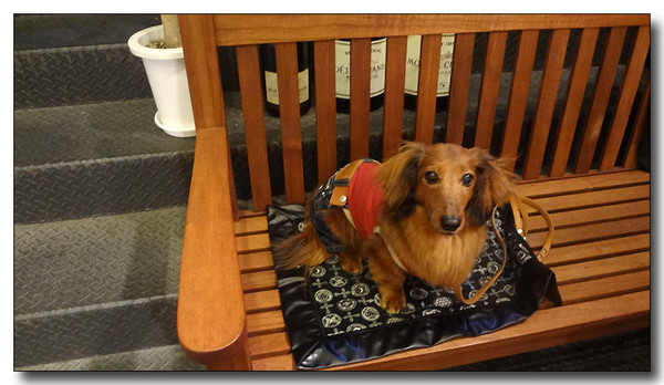 20130630115919.JPG