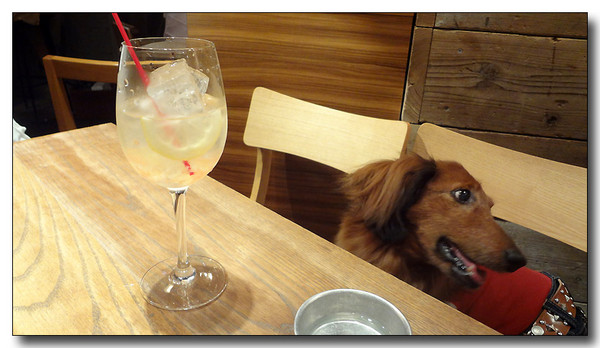 20130701082029.JPG
