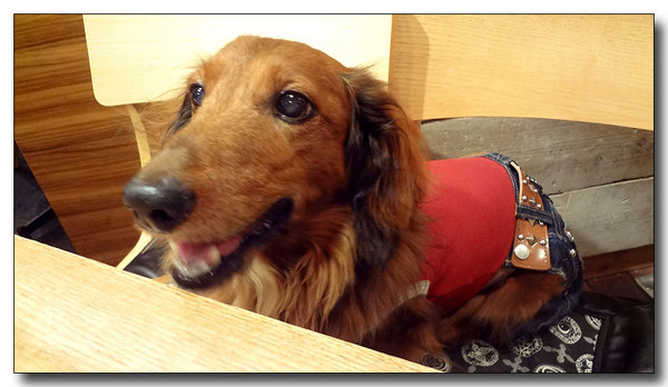 20130701082414.JPG