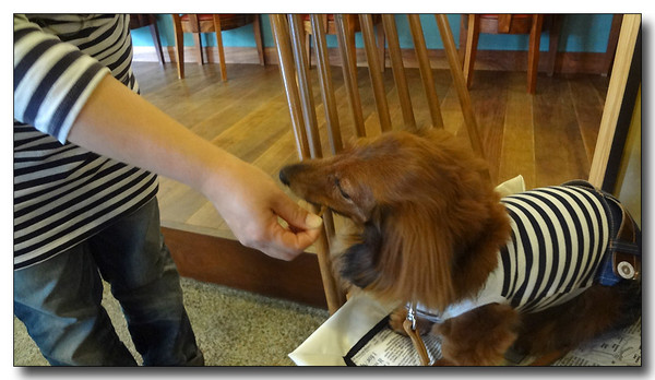 20130701083013.JPG