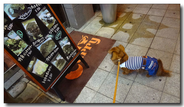20130701085410.JPG
