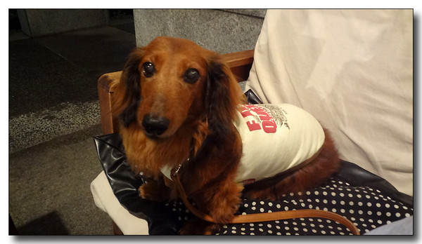 20130701162355.JPG