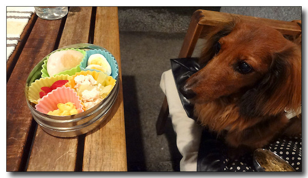 20130701162423.JPG