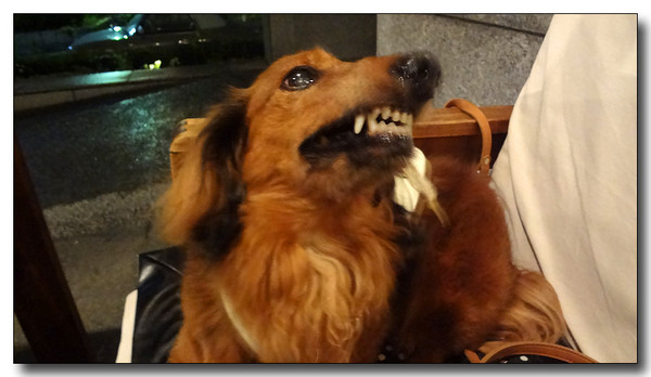 20130701162425.JPG