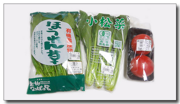 20130702114045.JPG