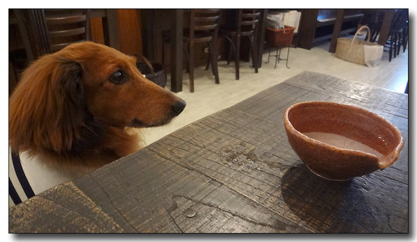 20130702114126.JPG