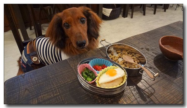 20130702114128.JPG