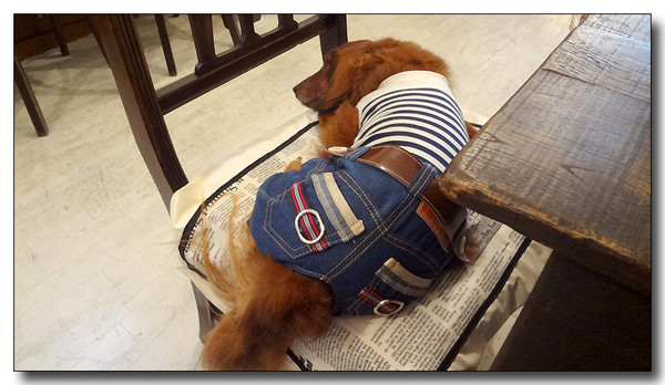 20130702114129.JPG