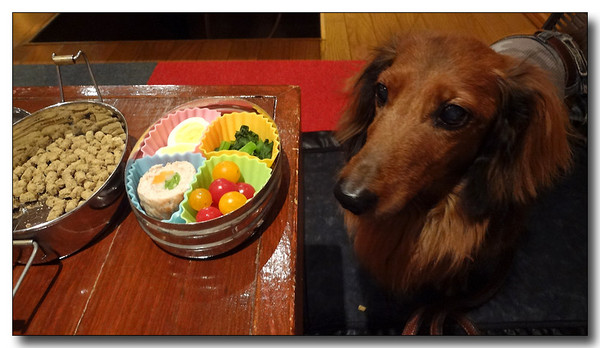 20130702195238.JPG