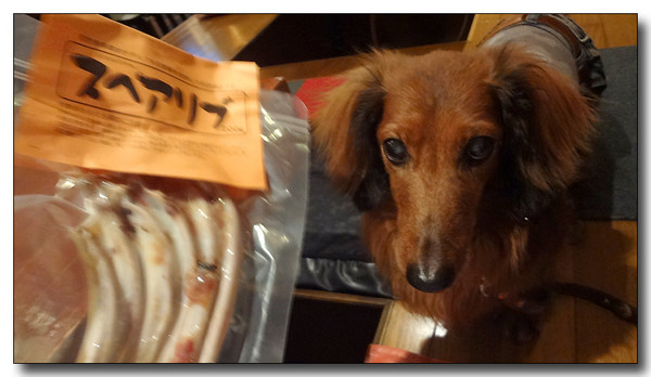20130702195319.JPG