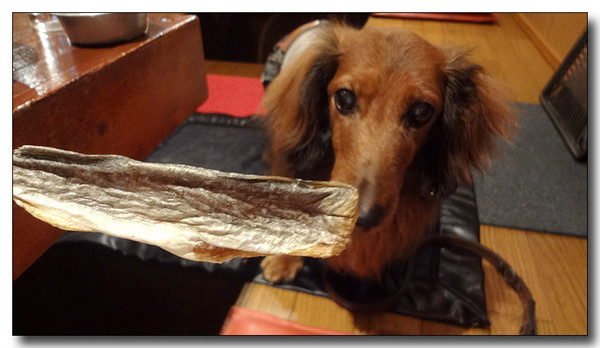20130702195345.JPG