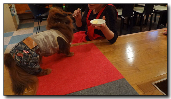 20130702195405.JPG