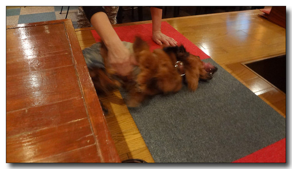 20130702195407.JPG