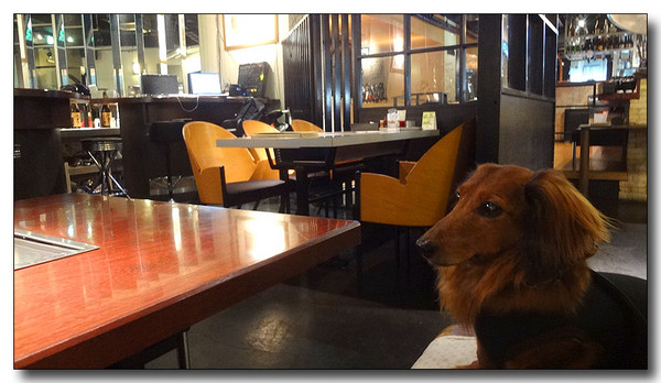 20130703072846.JPG