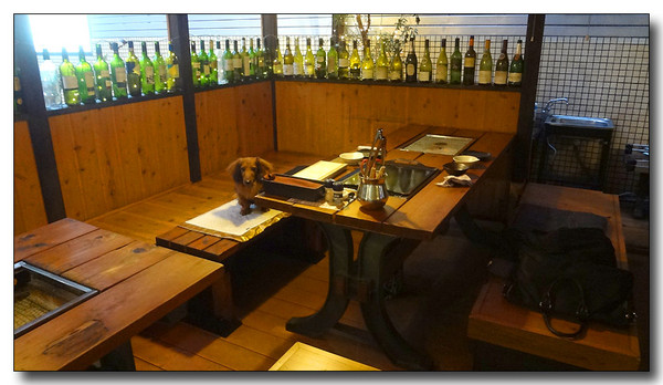 20130703072907.JPG