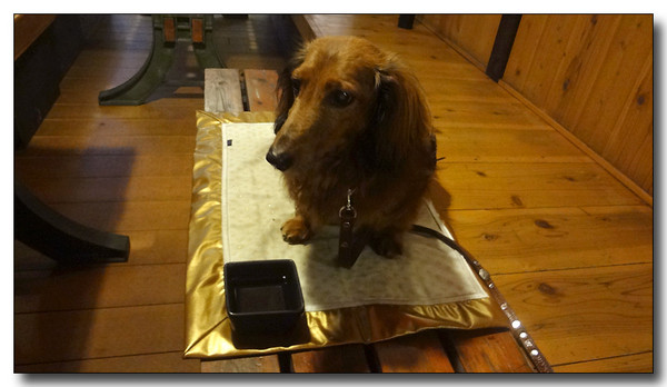 20130703072928.JPG