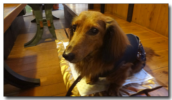 20130703072929.JPG