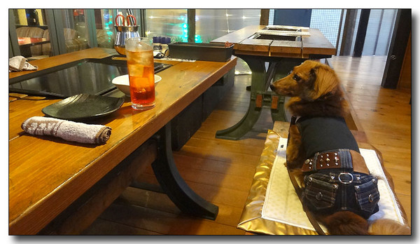 20130703072930.JPG