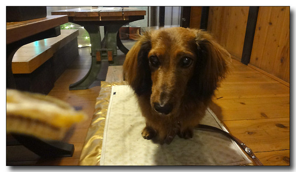 20130703073932.JPG