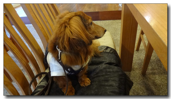 20130705075129.JPG