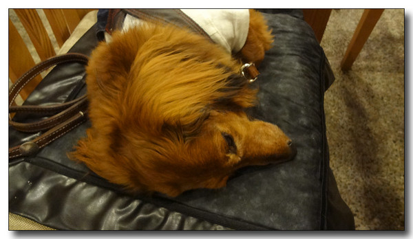 20130705075130.JPG