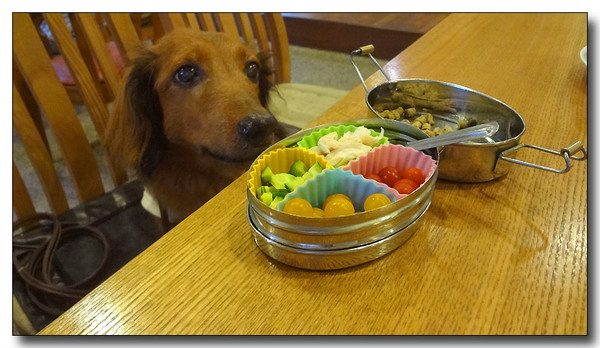 20130705075423.JPG
